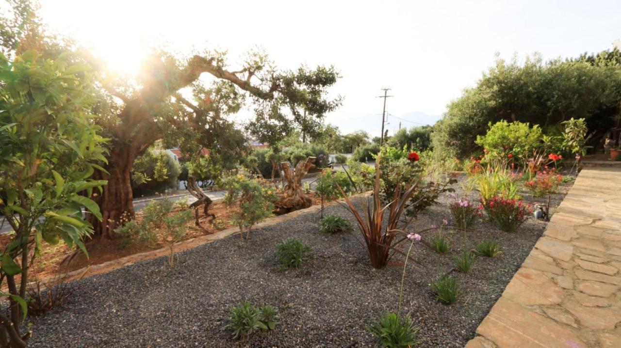 Appartamento Casa con VIsta - Private Garden Havania Esterno foto